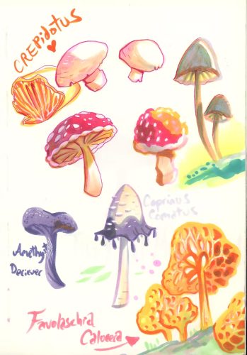 Mushrooms